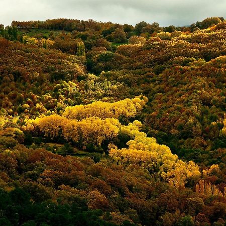 Aroma De Primavera En Casas Rurales Acebuche Casas del Monte Exteriör bild