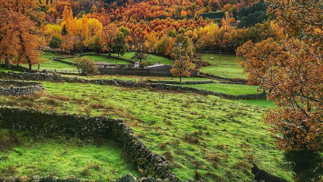 Aroma De Primavera En Casas Rurales Acebuche Casas del Monte Exteriör bild
