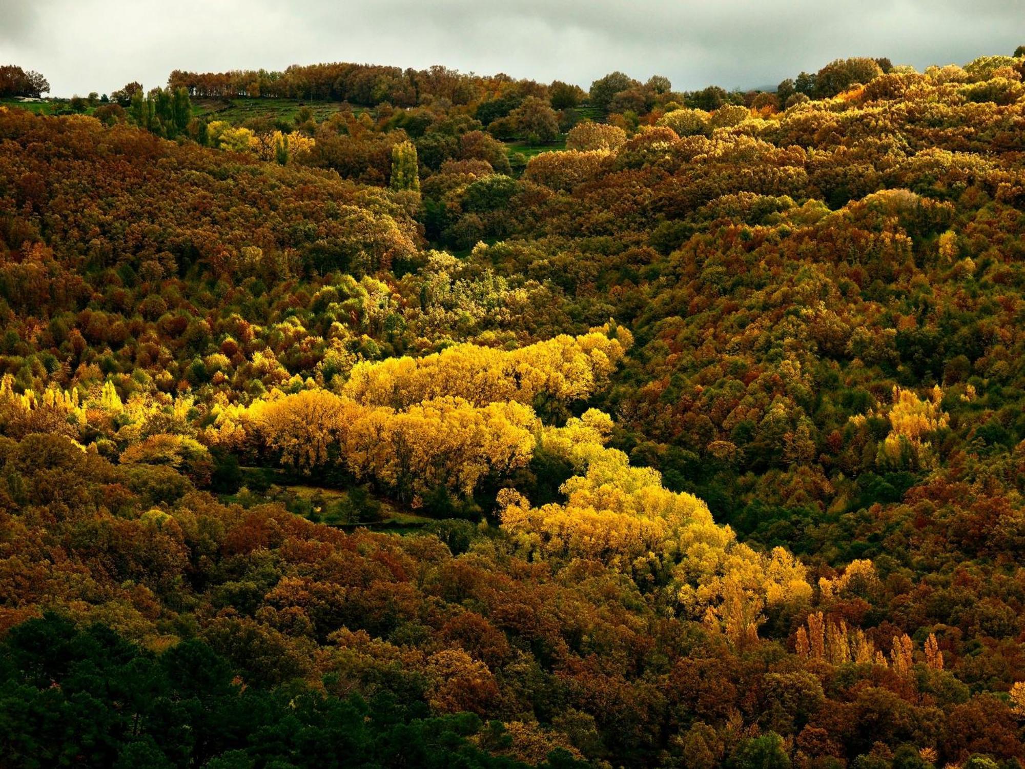 Aroma De Primavera En Casas Rurales Acebuche Casas del Monte Exteriör bild