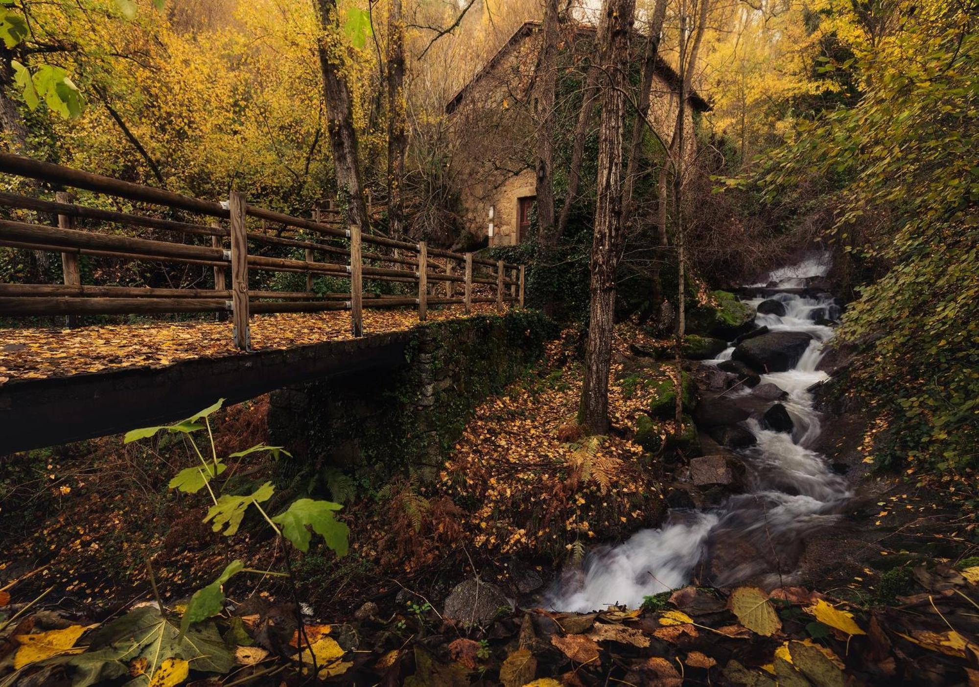 Aroma De Primavera En Casas Rurales Acebuche Casas del Monte Exteriör bild