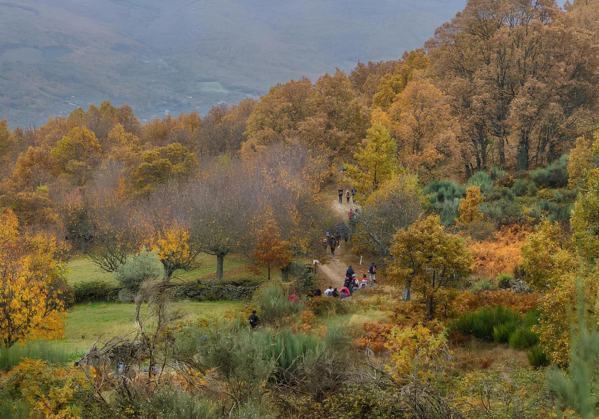 Aroma De Primavera En Casas Rurales Acebuche Casas del Monte Exteriör bild