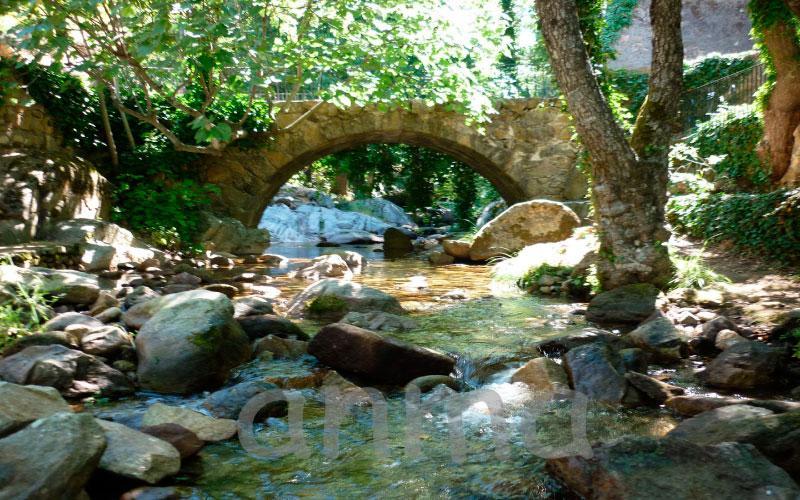 Aroma De Primavera En Casas Rurales Acebuche Casas del Monte Exteriör bild